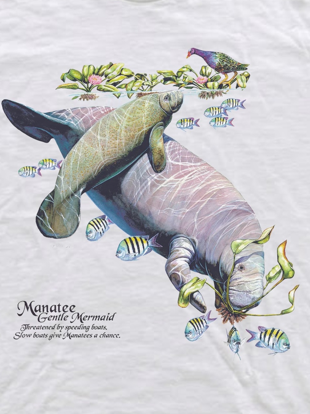 White Manatee Graphic Tee - Picture 2 of 4